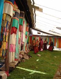 0985c605e4f44d9faadd73637896a8d6.jpg 0985c605e4f44d9faadd73637896a8d6.jpg